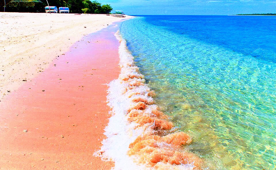 The Pink Beach Of The Philippines Philwonders 101